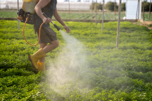 Reliable Glenwood, IA Pest Control Solutions