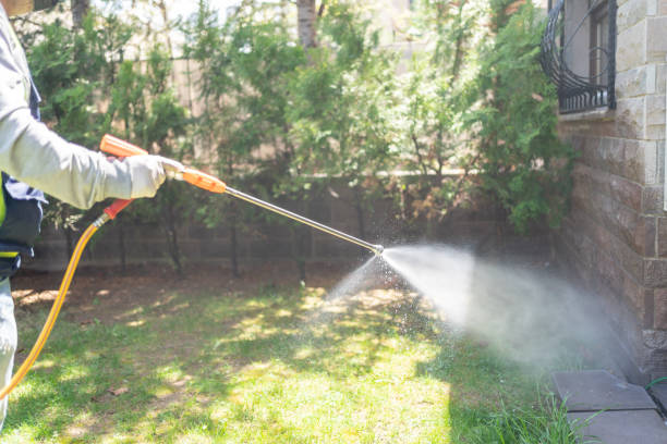 Best Insect Control  in Glenwood, IA