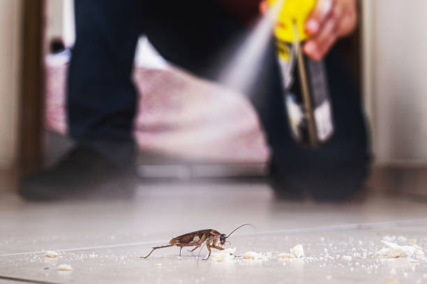 Best Insect Control  in Glenwood, IA