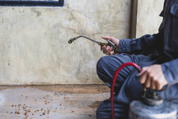 Best Best Pest Control Companies  in Glenwood, IA